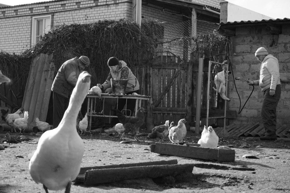 Photograph by Аня Ткачева