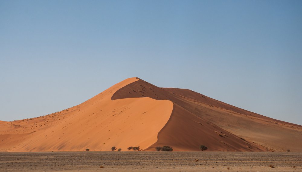 A dune and its magnificence