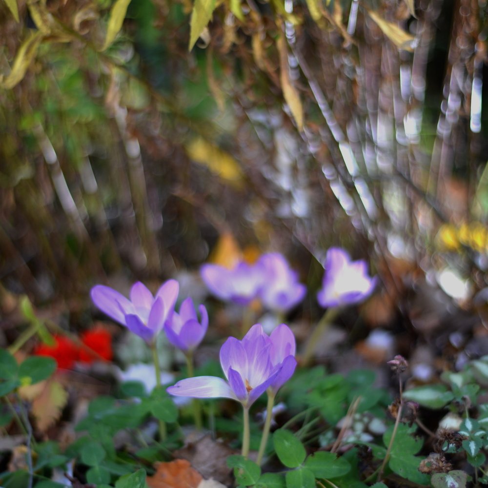 Фотография автора Степин Геннадий