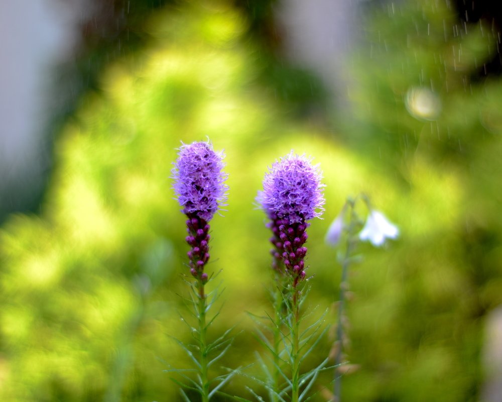 Фотография автора Степин Геннадий