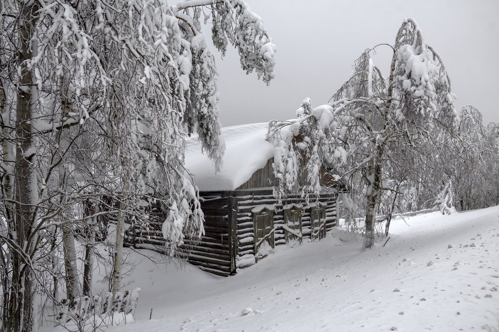 Photograph by Утёмов Сергей