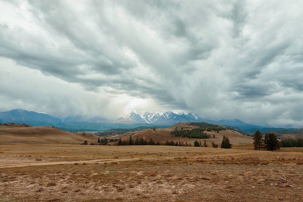 Фотография автора Степин Геннадий