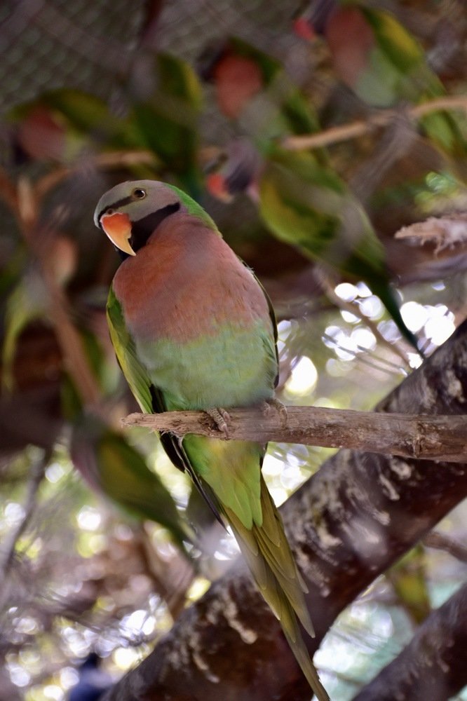 Photograph by Htet Ei Wai
