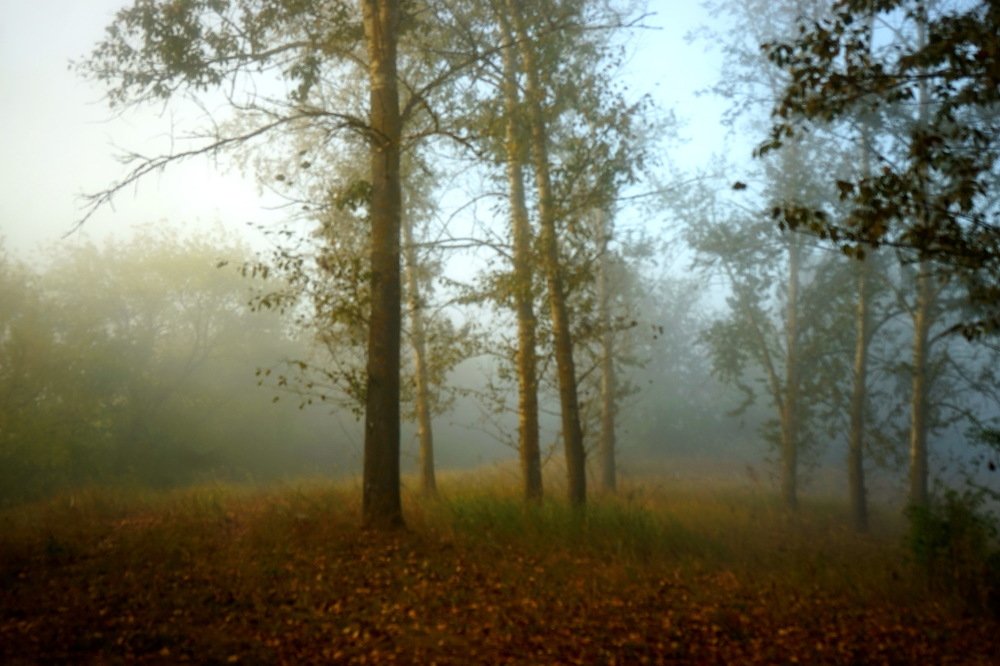 Photograph by Андрей Бабаев