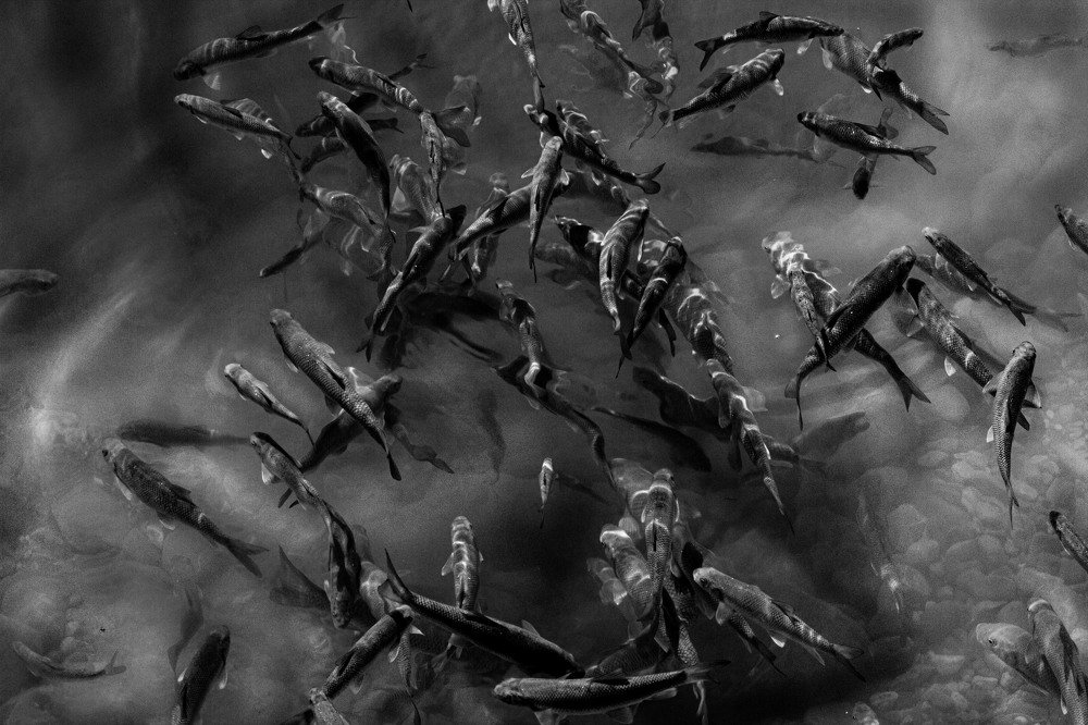 Photograph by Газетдинов Айрат