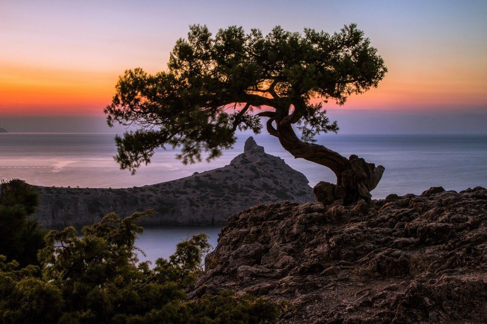 Photograph by Александра Шайдурова