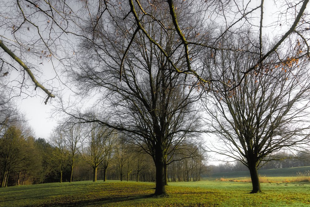 Photograph by Bert Seinstra