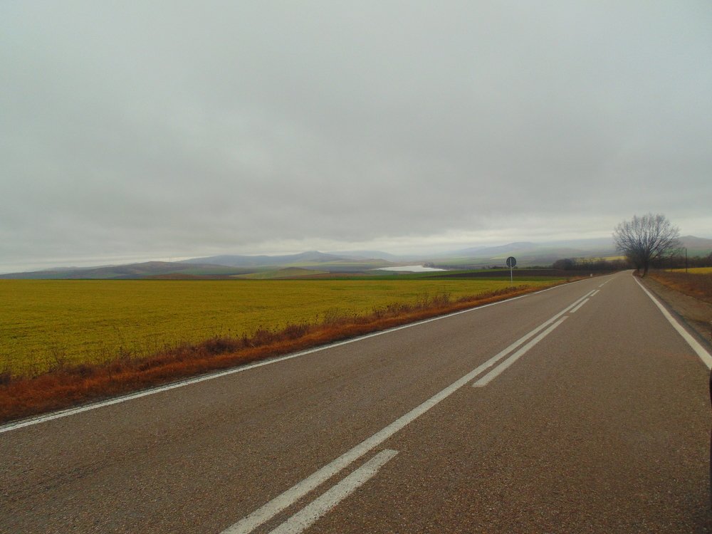Photo #4363152