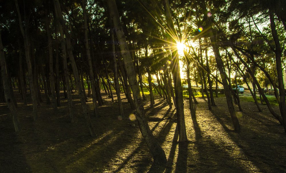 Photograph by islam elsayed eldaramlly