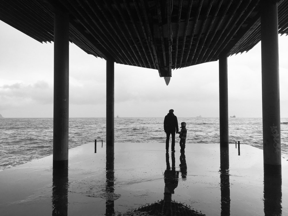 Берега тёмных вод