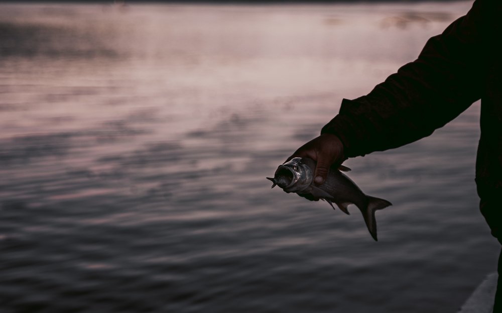 Photograph by Lorena Poltorac