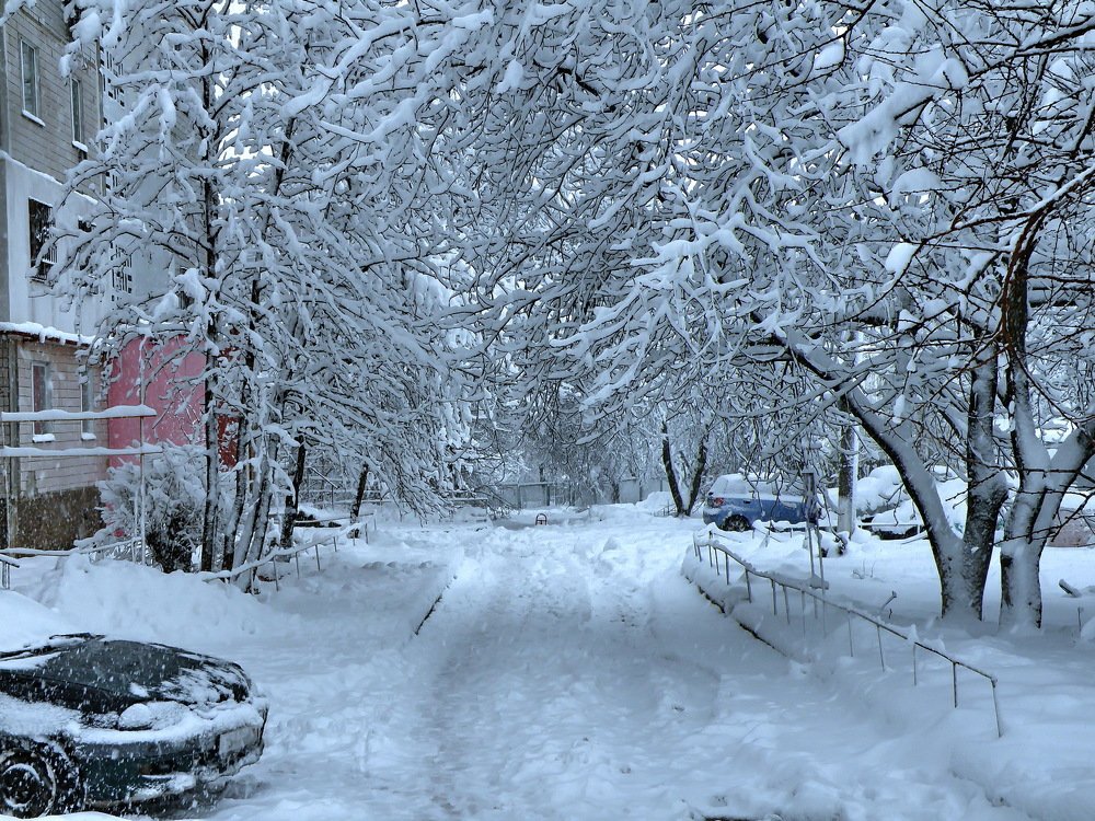 Photograph by Валерий