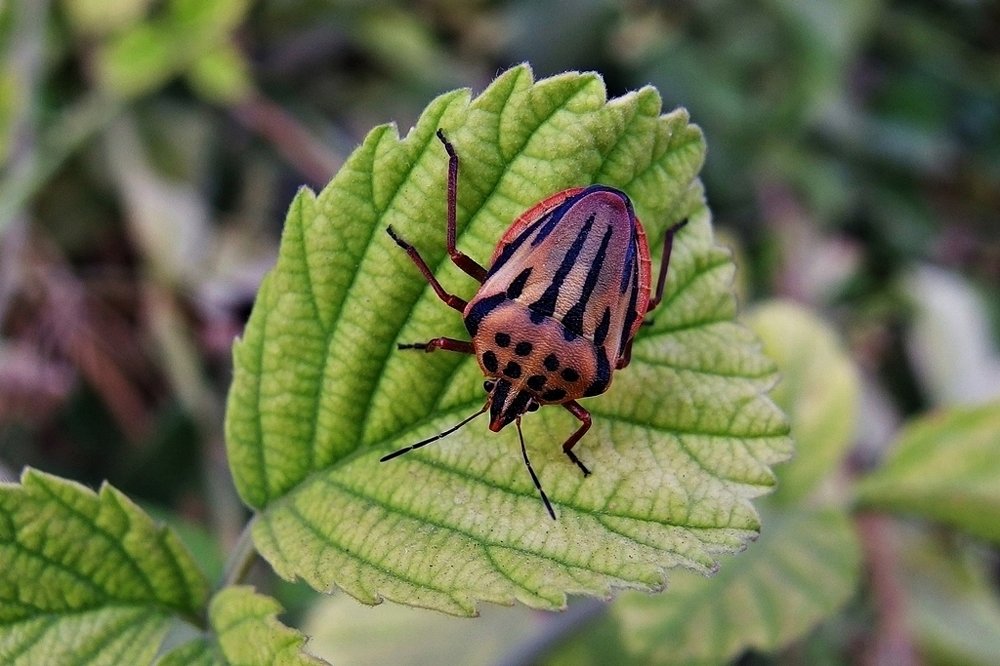 Photograph by Mehmet Masum Suer