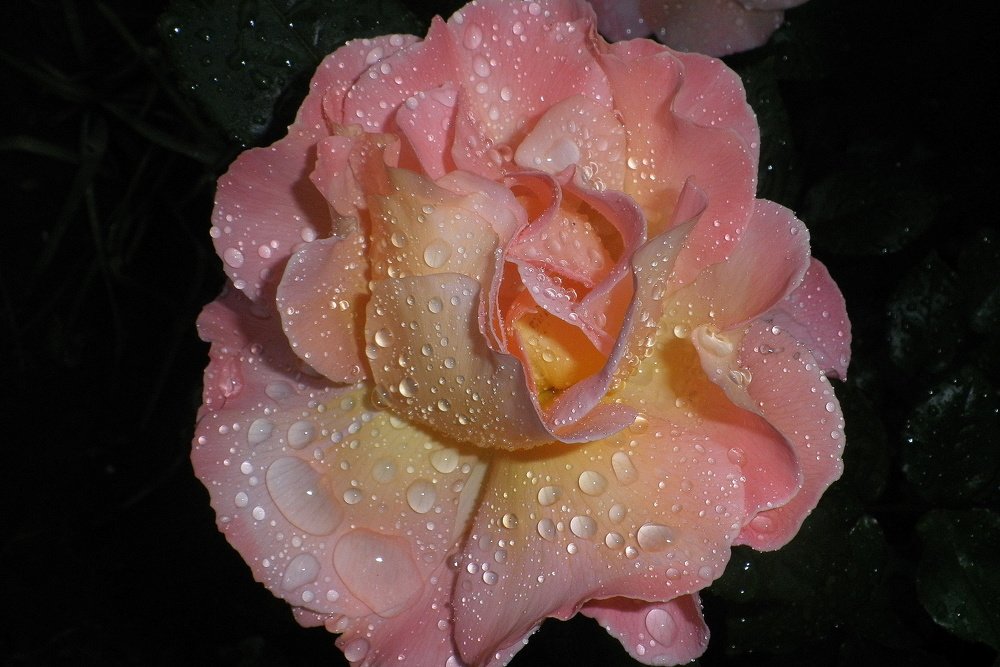 Фотография автора Ольга Завадилика