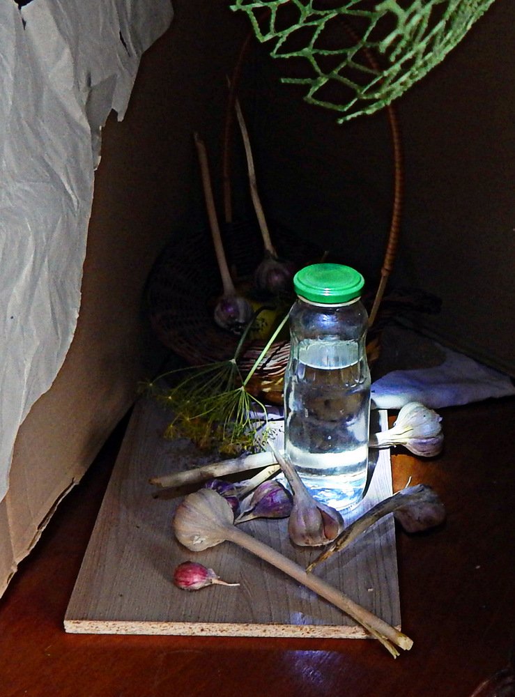 натюрморт с чесноком