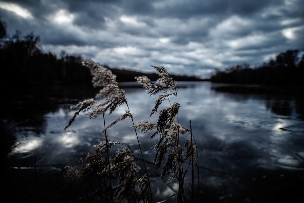 Настроение в холодных тонах