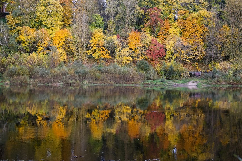 Photograph by Marina Gerashchenko