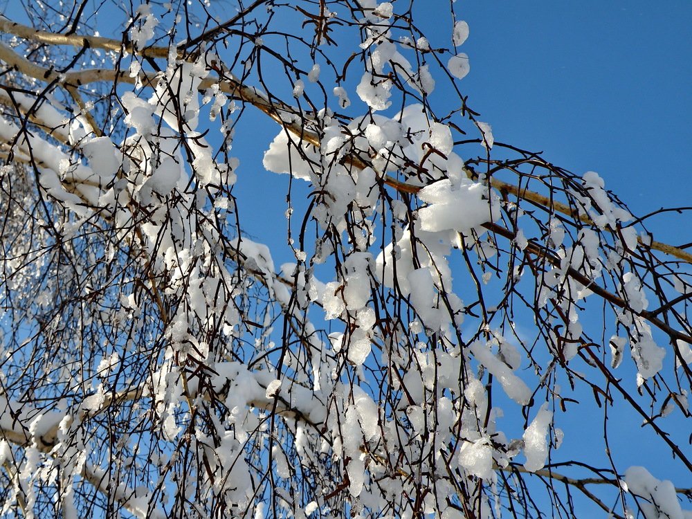 Photograph by Валерий