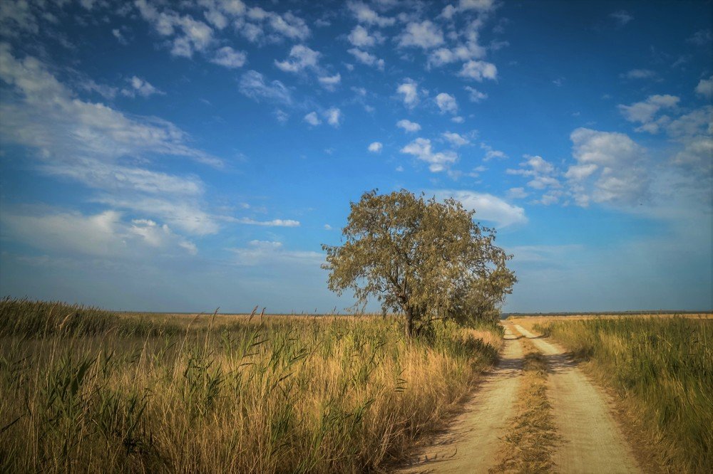 Photograph by Ирина