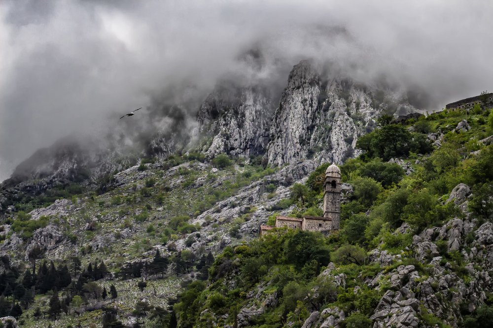 Photograph by Бистра Стоименова