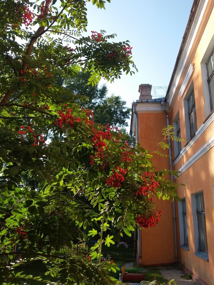 Photograph by Светлана Хоботова