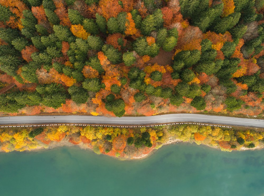 Photograph by Giorgi Shermazanashvili