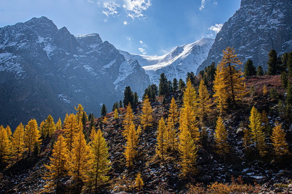 Photograph by Евгений Дроботенко