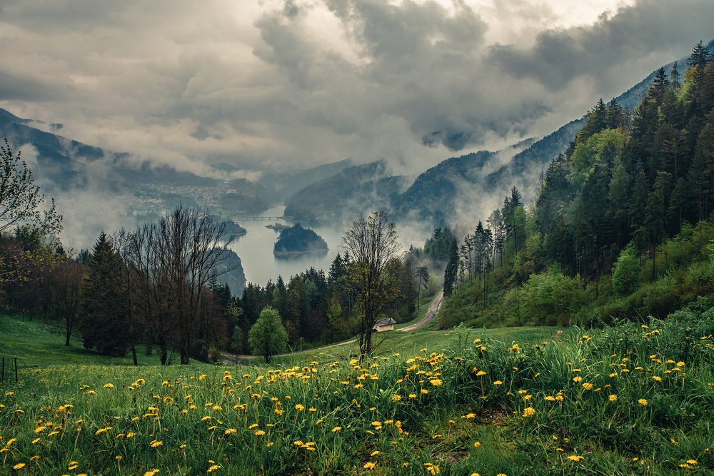 Photograph by artem evdokimov