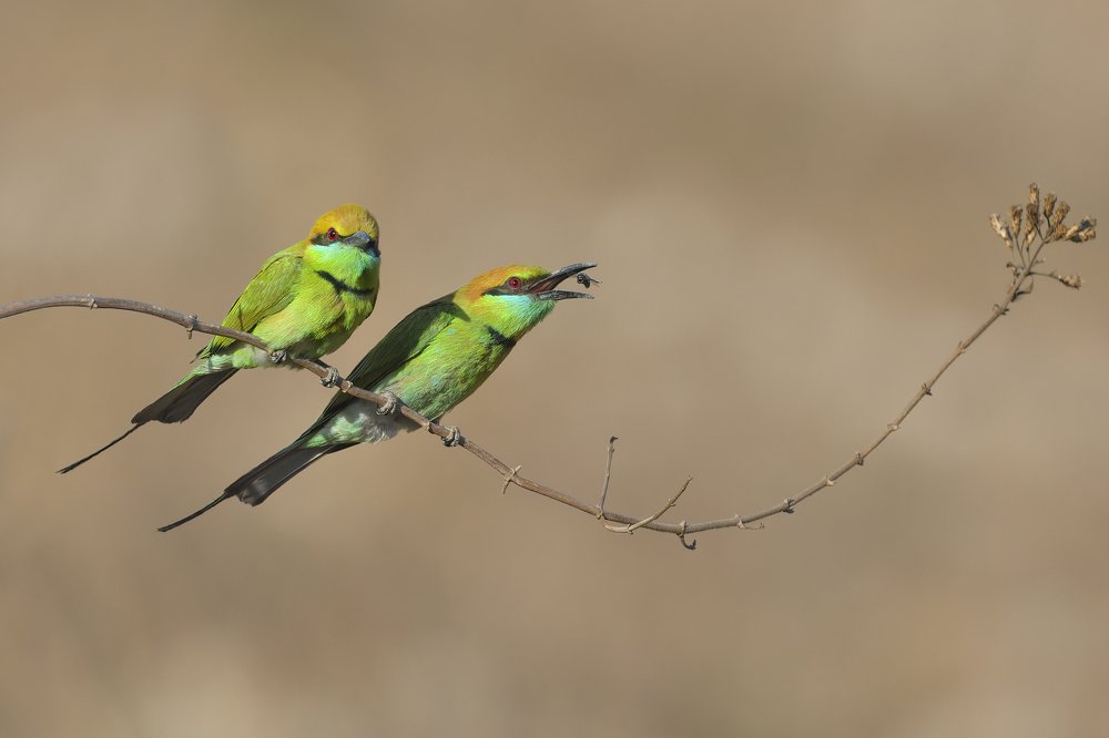 Photograph by Tran Hoang Phong