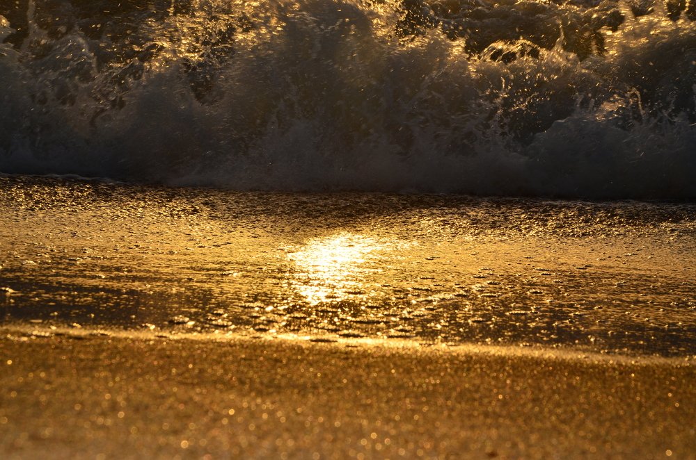 Photograph by Galina Baranovskaja