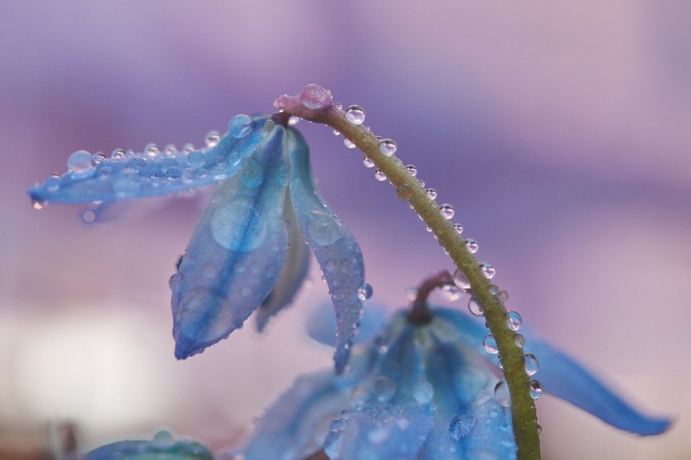 Photograph by Лебедев Юрий-Александрович