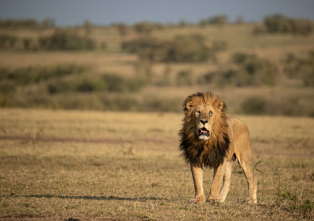 Photograph by Dr.suresh Chhabra