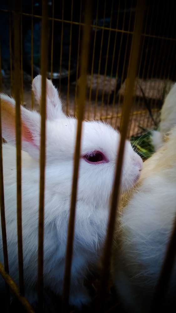 Фотография автора Krishna Sai