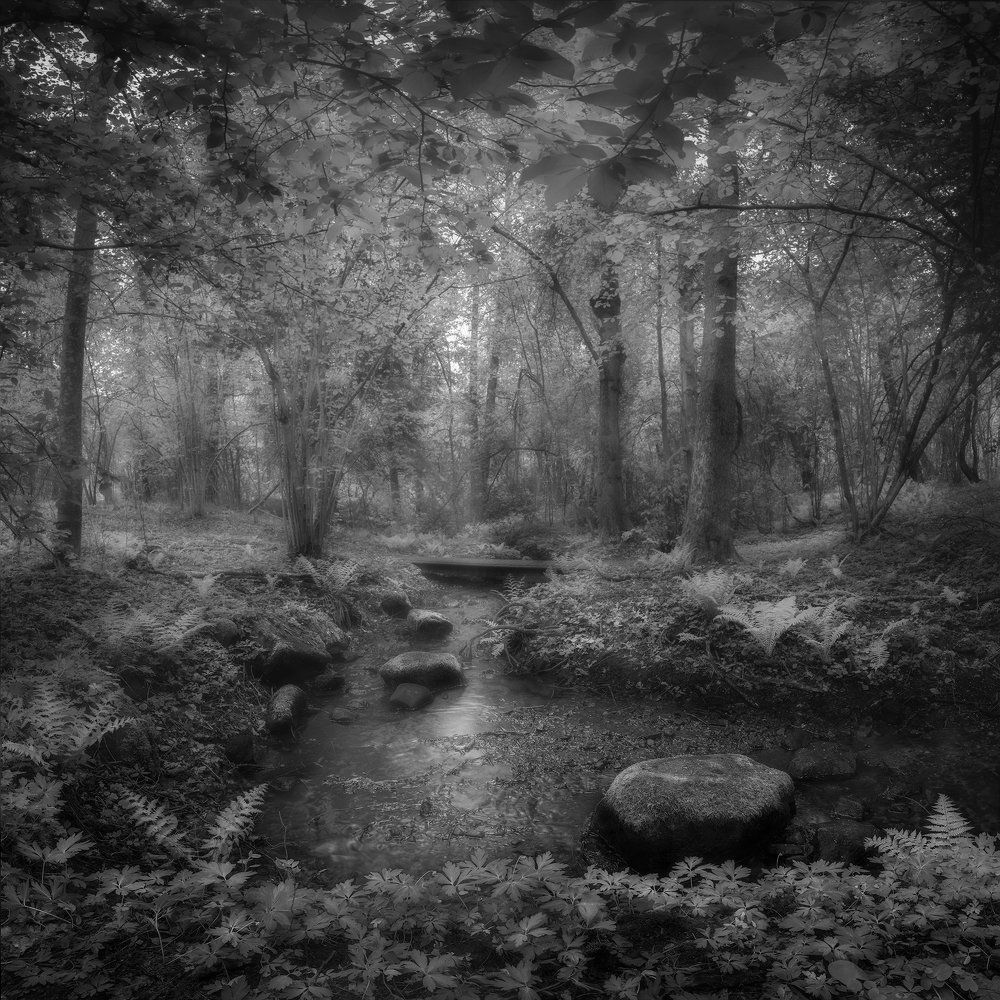 Photograph by Ludwig Riml