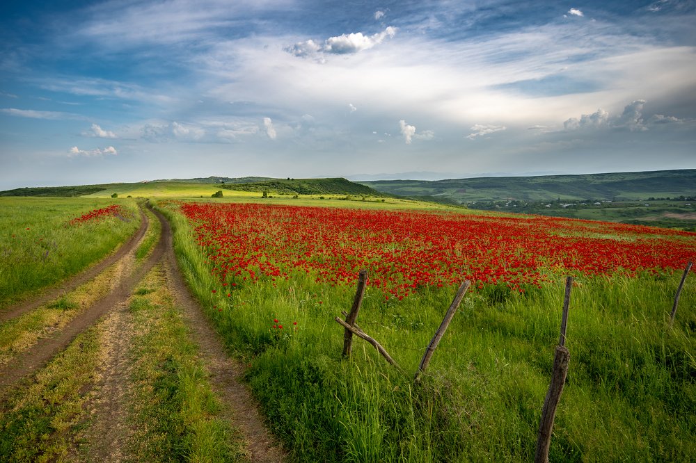 Photograph by Giorgi Shermazanashvili