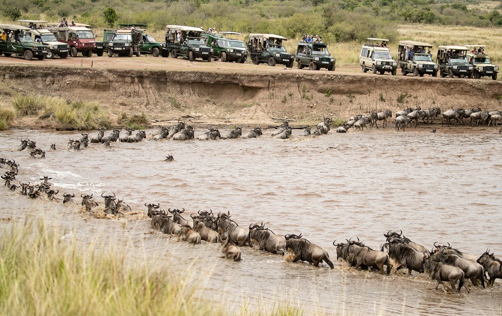 Photograph by Dr.suresh Chhabra