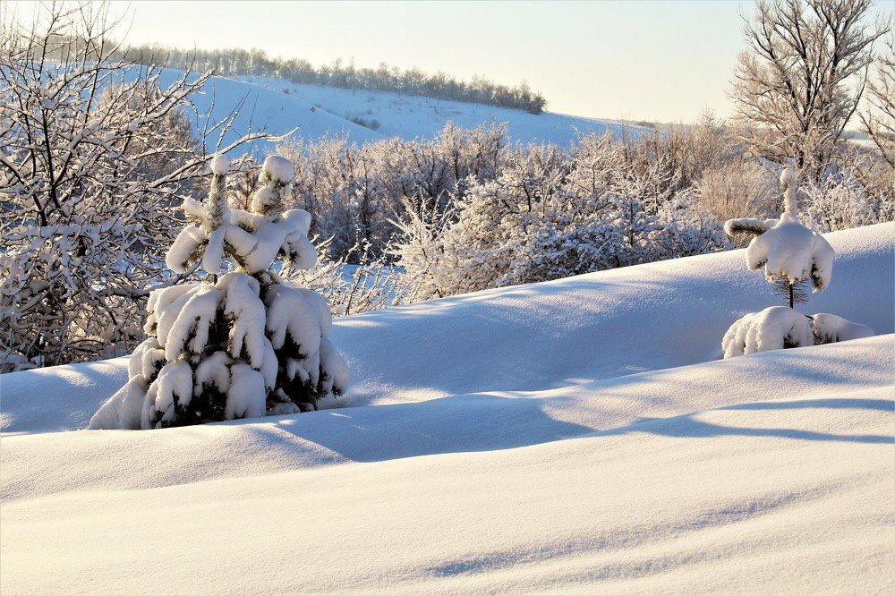 Photograph by Юлия Черкасова