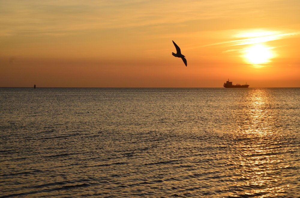 Photograph by Galina Baranovskaja