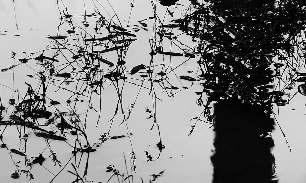 тушь по воде