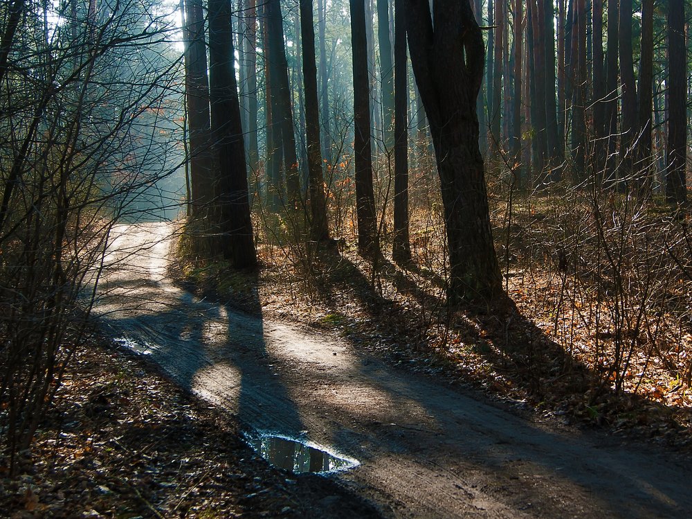 Весенний путь