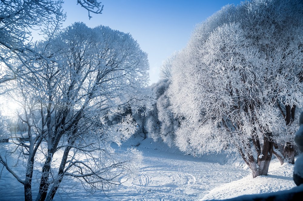 Зимняя сказка