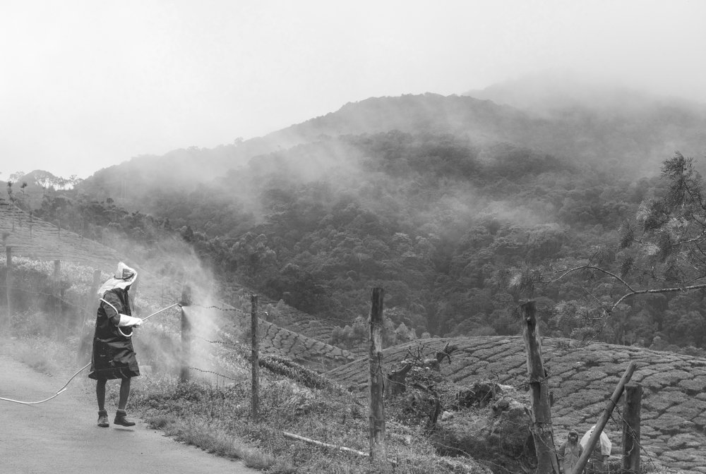 Фотография автора Vishnu Gopal