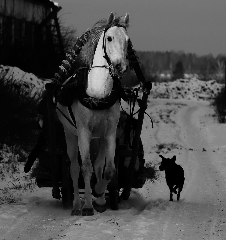 Photograph by Алексей Ошвинцев