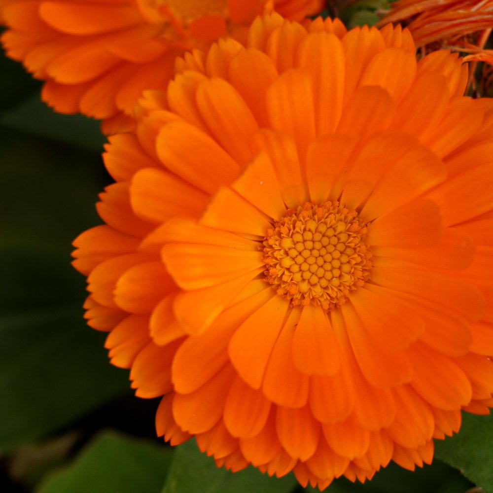 Photograph by Евгений Михеев