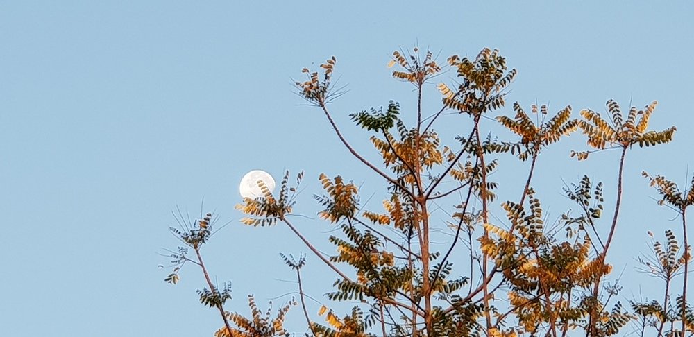 Photograph by Bee Lean SIN