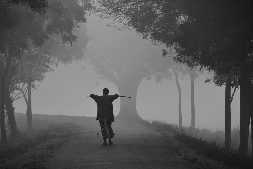 Photograph by Fuad sarker