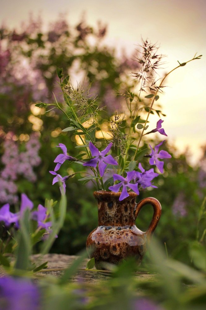Photograph by Халимат Шамилова