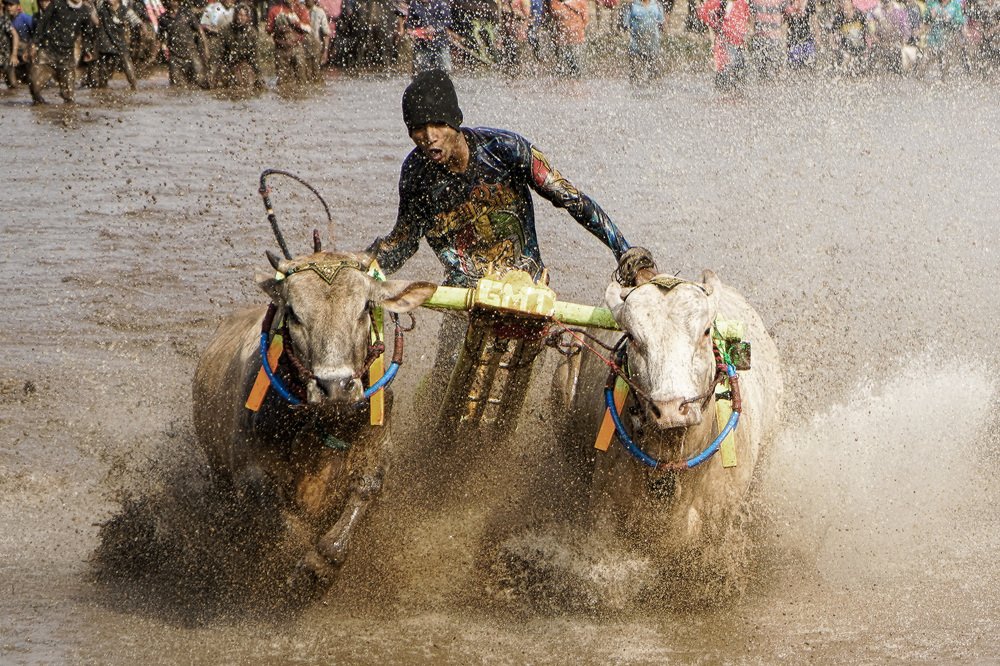 Photograph by BAMBANG WIRAWAN