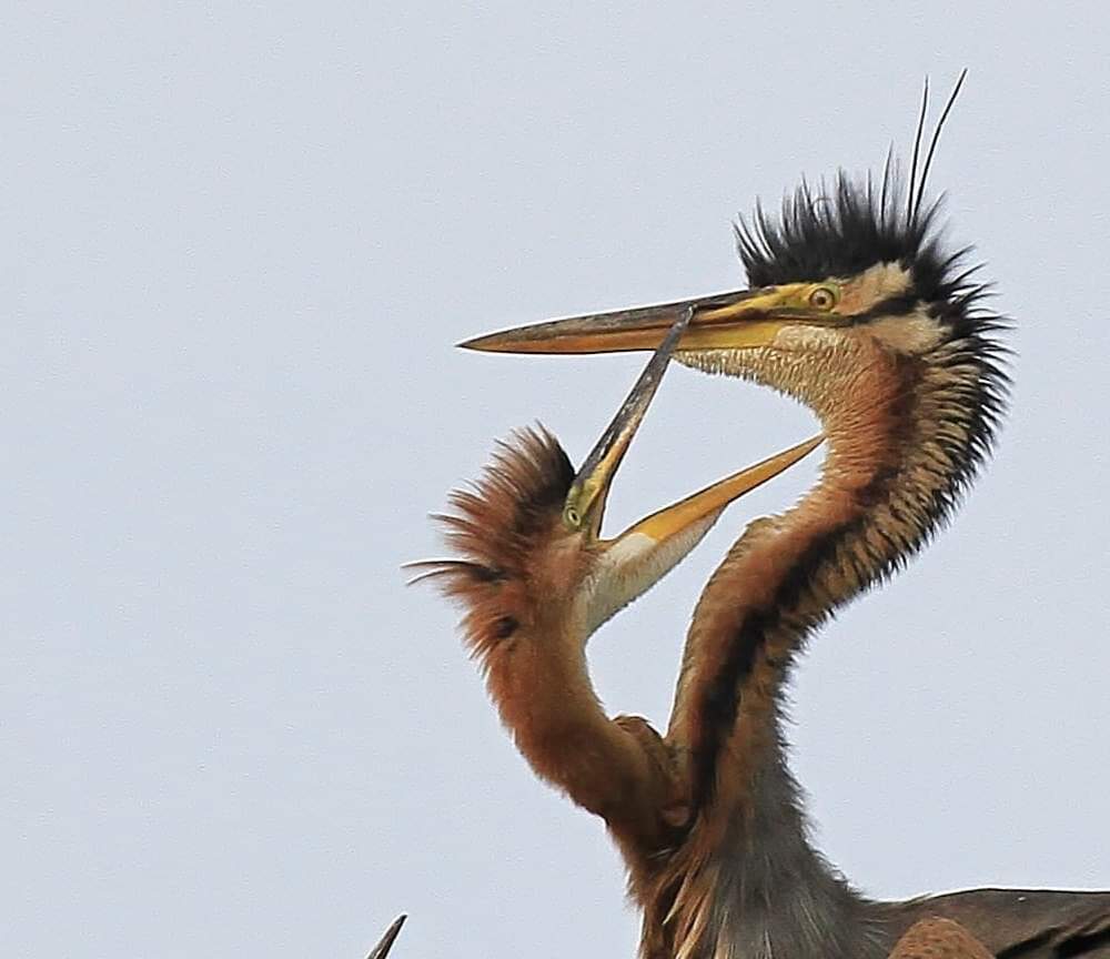 Photograph by Bee Lean SIN