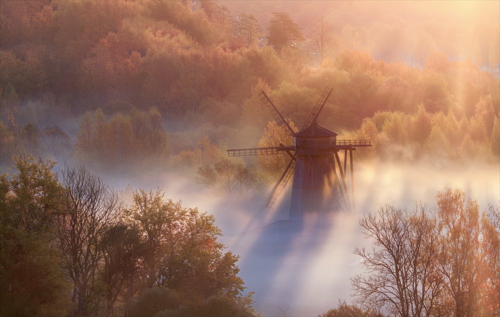 Photograph by Алексей Богорянов